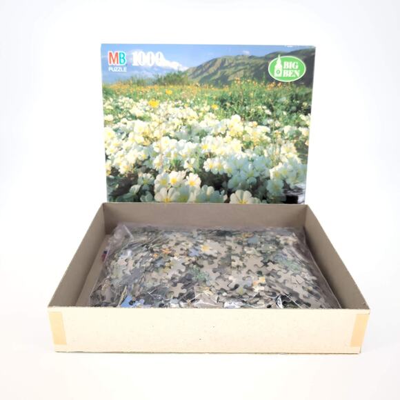 MB Milton Bradley 1000 Piece Anza-Borrego Desert State Park, CA Jigsaw Puzzle GC - Picture 8 of 12